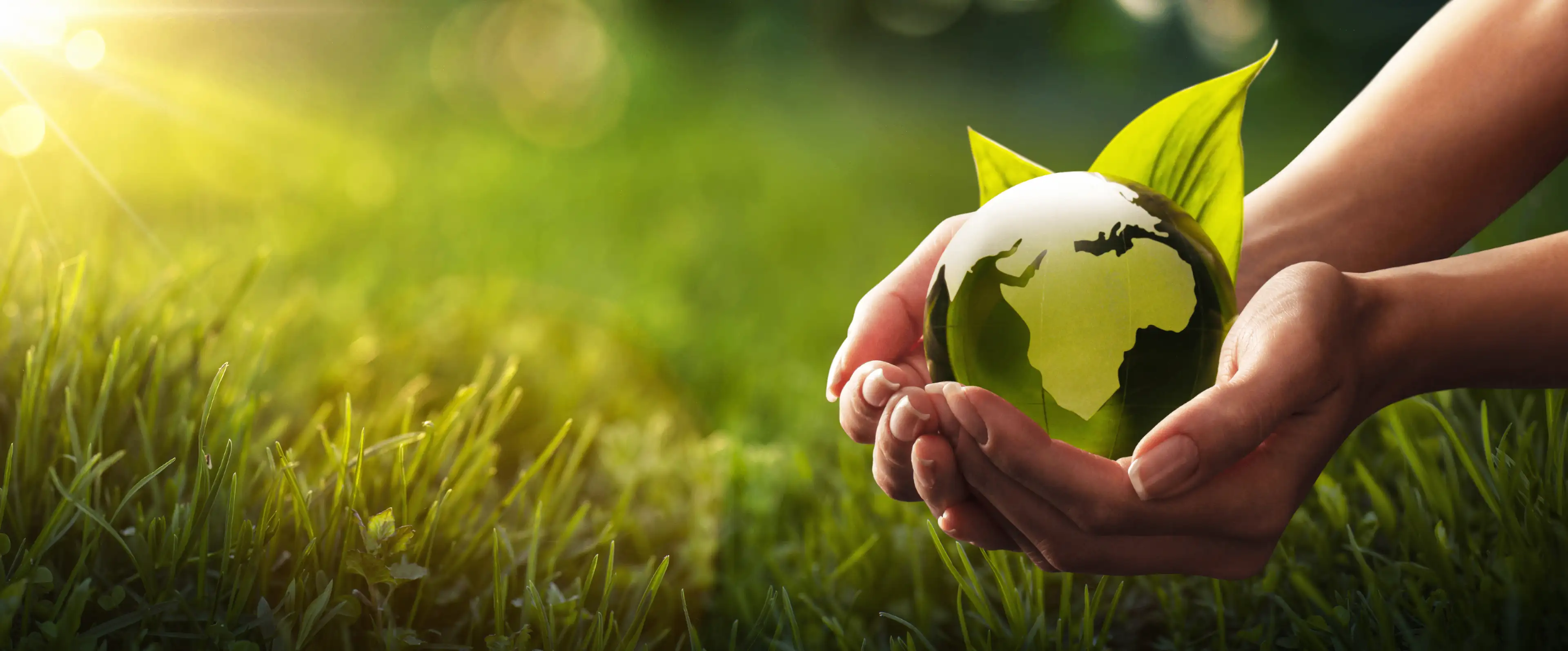 Grön natur som symboliserar hållbar utveckling